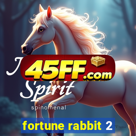 fortune rabbit 2